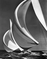 Spinnakers sur voiliers de course