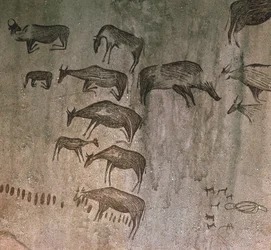 Tanzanie, région de Dodoma, dessins rupestres