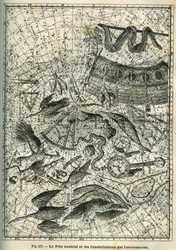 Le pôle Sud et les constellations environnantes : Parmi les nombreuses constellations du pôle Sud se trouvent l