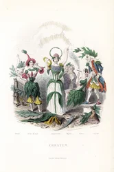 Les fées des fleurs, celle de l