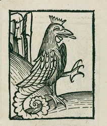 Le basilic mythique