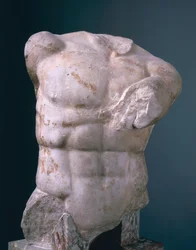 Torse d