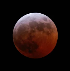 Éclipse lunaire totale, 3 mars 2007