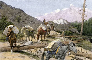 Transport de fournitures et de fourrures à cheval dans les montagnes Rocheuses, USA