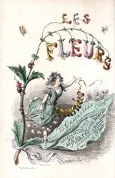 Une fée des fleurs assise sur une feuille et tenant un ruban (page de titre) - Eau-forte par Charles Geoffroy (1819-1882), d