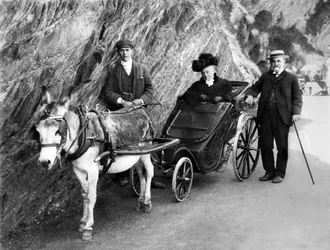 Royaume-Uni : Une voiturette tirée par un âne. 1906