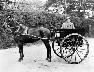 Royaume-Uni : Un cheval et une charrette. vers 1905