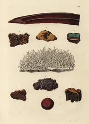 Variétés de minerai de fer