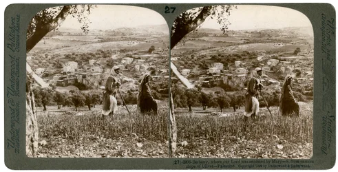 Béthanie, vue depuis le versant est du Mont des Oliviers, Palestine, 1899