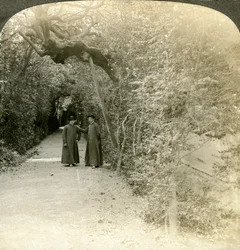 Le Bower de Saint Antoine, Jardins du Vatican, Rome, Italie