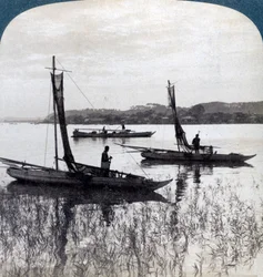 Bateaux de pêche rentrant au coucher du soleil, près de Yokohama, Japon, 1904