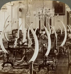 Salle des défenses, dans la maison de Lady de Soysa, Bambalapitiya, Colombo, Ceylan, 1903