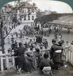 École et terrains, Yokohama, Japon, 1904