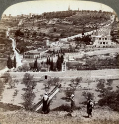 Le jardin de Gethsémani et le mont des Oliviers, Palestine, 1908