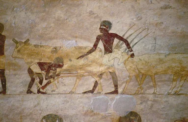 Procession avec du bétail et des gazelles, détail d