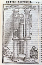 Un Phagotus (Phagotum). Page de Introductio par Theseus Ambrosius Albonesius