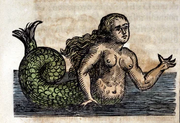 Une sirène, personnage légendaire - gravure tirée d