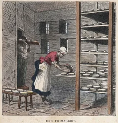 Une fromagerie. Illustration du 19ème siècle. Collection Bianchetti