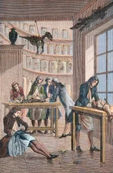 Albrecht von Haller (1708-1777) dans son laboratoire à Berne en Suisse - Laboratoire du médecin suisse Albrecht von Haller (1708-1777) à Berne