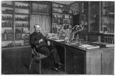 Alphonse Milne Edwards