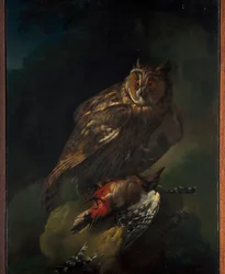Un hibou avec sa proie