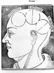 Aristotelis libri IV de coelo et mundo Cum Expositione S.Thomae de Aquino et Cum Additione Petri Alverniae. C
