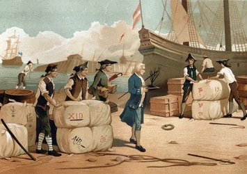 Bernard de Jussieu (1699-1777), botaniste français, ayant rapporté le pied de cèdre d