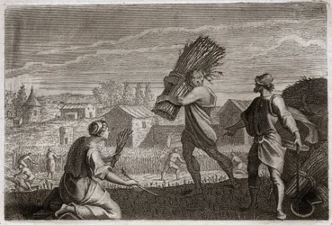 Bible de Royaumont, Ancien Testament : Ruth suit sa belle-mère Noémi au pays de Juda et glane les champs de blé de Booz. Illustration de 1811.