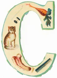 C : corail, carotte, bougie, coton, chat, coloquinte, peigne