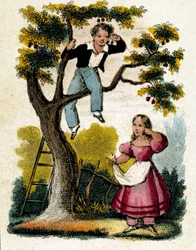 Cueillette des cerises
