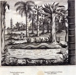 Cobra et serpent venimeux d
