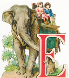 E : Éléphant