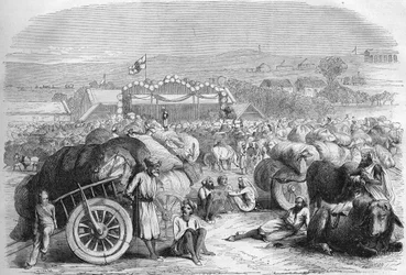 Inde anglaise 1872 : Le marché du coton de Khangaon.