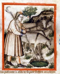 Esa fait paître des ânes - le Pentateuque. Miniature du codex 212 (ou codice padovano ou Bible de Padoue) 1390-1400 Rovigo, Accademia dei Concordi