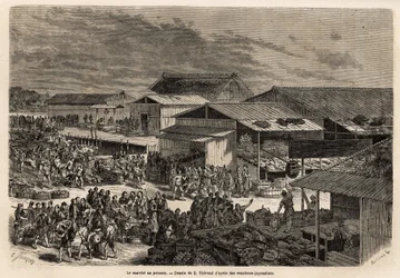 Vue générale du marché aux poissons, avec le port des barques de marchandises, les cabanes et les étals de présentation des produits, et la scène de vente aux enchères, avec l