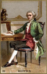 Georges Louis Leclerc, Comte de Buffon (1707 - 1788). Chromolithographie du 19e siècle