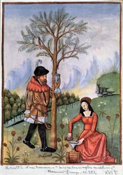 Récolte d