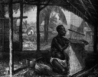 Zoo humain : tisserand adouci du Gabon à l