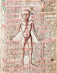 Corps humain (gravure du « Tractatus de pestilentia »)
