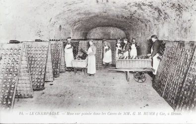 Fabrication du champagne : la pointe des bouteilles dans une cave Mumm à Reims, début du 20e siècle (photo)
