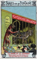 Le Singe et le Léopard - Fables de Jean de La Fontaine (1621-95) - Chromolithographie de la fin du 19e siècle Collection privée