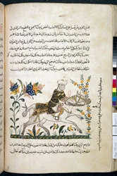 Nihāyat al-suʾal wa-al-umnīyah fī taʾlīm al-furūsīyah, Add MS 18866, f.122v, vers 1371