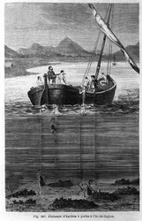 Pêcheurs de perles à Ceylan (Sri Lanka actuel)