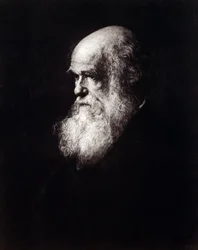 Portrait de Charles Robert Darwin (1809 - 1882)