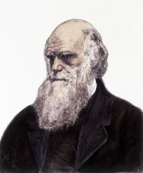 Portrait de Charles Robert Darwin, naturaliste britannique (1809-1882)