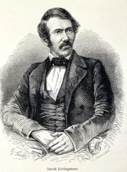 Portrait de David Livingstone, missionnaire écossais (1813-1873)