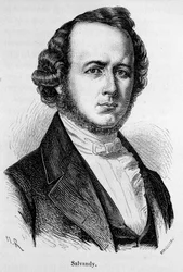 Portrait de Narcisse Achille, comte de Salvandy, homme politique français (1795 - 1856)