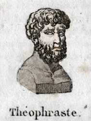 Portrait de Théophraste (372 av. J.-C. - 287 av. J.-C.), philosophe grec