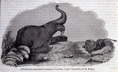 Préhistoire : représentation d