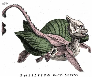 Représentation du Basilic, gravure du 17ème siècle